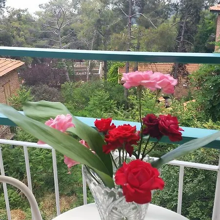 Edelweiss Hotell Platres