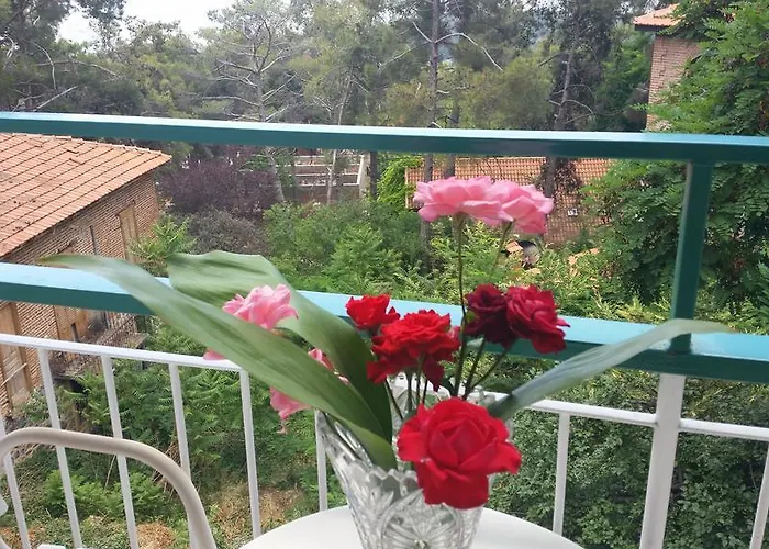 Edelweiss Hotel Platres